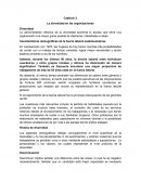 Capítulo 2 La diversidad en las organizaciones