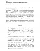 DEMANDA EJECUTIVA DE MINIMA CUANTIA