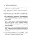 Informe de procesadora PERÚ S.A.C