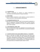 Trabajo educativo social. CONCEPTO DE LA ALFABETIZACION: