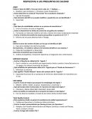 RESPUESTAS A LAS PREGUNTAS DE CALIDAD AMEF