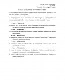 DE CARA AL SOL MICRO 4 MICROPROPAGACIÓN.