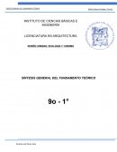 SÍNTESIS GENERAL DEL FUNDAMENTO TEÒRICO