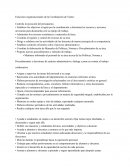 Funciones organizacionales de la Coordinación de Teatro