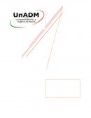 Caso Anáhuac Industrial, SA de C.V.