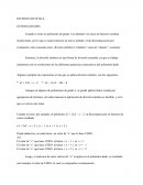 DIVISION SINTETICA. GENERALIDADES.