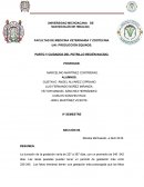 Parto y cuidado del potrillo recien nacido (equinos)