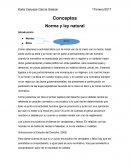 Ensayo de normas y ley natural
