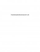 Transformación Bacteriana de E. coli