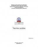 Introduccion al derecho. Técnica Jurídica