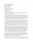 Materia: Antropología Trabajo practico evaluatorio N° 1