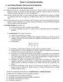 Las Cuentas Anuales.