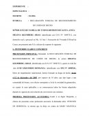DEMANDA DECLARACION JUDICIAL DE UNION DE HECHO