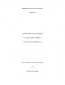 HERRAMIENTAS DE VISUAL BASIC (ENSAYO)