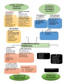 Fisica Basica. Rapidez, velocidad y movimiento acelerado