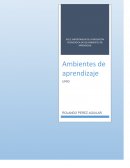 Ambientes de aprendizaje. La mediación pedagógica ha cobrado importancia a través del correr del tiempo