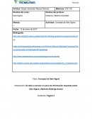 Concepto de Seis Sigma.