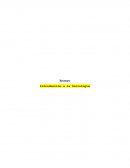 Introducción a la Sociología.