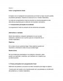 Modulo 1 Tema 1 programacion lineal