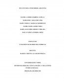 Estatuto del consumidor. ¿Qué pasa cuando falla un producto?