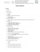 Elementos carpeta directiva