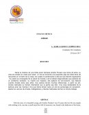 Ensayo De La elicula Amelie.