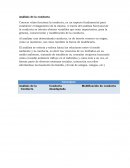 Conocer cómo funciona la conducta, es un aspecto fundamental para establecer el diagnóstico de la misma. A través del análisis funcional de la conducta se intenta obtener variables que sean importantes, para la génesis, conservación y modificación