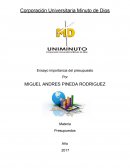 Ensayo importancia del presupuesto.