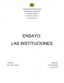 La institución se puede definir como un conjunto de expectativas que dan lugar a comportamientos previsibles por parte de los individuos, que las siguen de modo casi irreflexivo y que no necesitan de justificaciones para llevarlas a cabo.