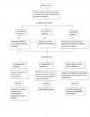 Es una herramienta muy útil porque nos ayuda a organizar nuestra información y a mejorar nuestro aprendizaje ya que nos ayudan a mejorar nuestra capacidad para recordar.