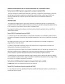 NORMAS INTERNACIONALES DE AUDITORIA INTERNA.
