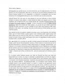 Teorico Delito y Sociedad UBA Pegoraro