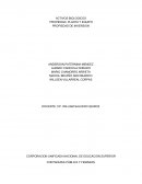 CONTADURIA PÚBLICA Y FINANZAS ACTIVOS Y PASIVOS