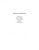 Mercado de la moda infantil.