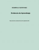 Playa del Carmen, Quintana Roo.,26 de septiembre 2016.