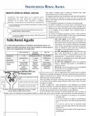 INSUFICIENCIA RENAL.