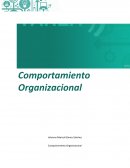 Comportamiento organizacional.