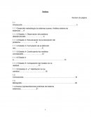 Desarrollo metodología de sistemas suaves: Análisis sistema de estancias