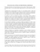 ENSAYO DE APLICACIÓN DE LOS PRINCIPIOS DEL APRENDIZAJE