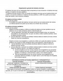 Organización General del Sistema Nervioso.