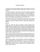 En este ensayo se podrá analizar algunos ejercicios para poder realizar una vuelta de campana desde ejercicios estáticos, hasta llegar a realizar la vuelta de campana.