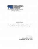 Identificación de los Procesos Peligrosos en los Puestos de Trabajo en la Empresa Rasta Rustí C.A., Ubicada en Magdaleno, Estado Aragua.