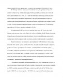 Caracterización del Sector agropecuario y su aporte a la economía del Municipio de Funes.
