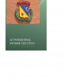 PROGRAMA ADMINISTRACIÓN DE LA SEGURIDAD Y SALUD OCUPACIONAL