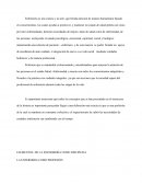 ELEMENTOS DE LA ENFERMERÍA COMO DISCIPLINA   LA ENFERMERA COMO PROFESIÓN