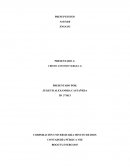 ENSAYO PRESUPUESTOS.