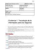 TECNOLOGIAS DE LA INFORMACION EVIDENCIA.