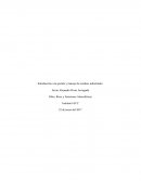 Una Introducción a la gestión y manejo de residuos industriales..