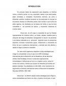 ESTRATEGIAS REGIONAL DEL UNICEF 2005