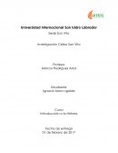 Historia de El Ceibo San Vito.